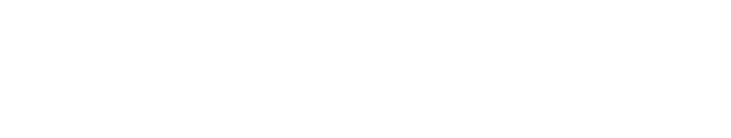Leading Consumer Retailer