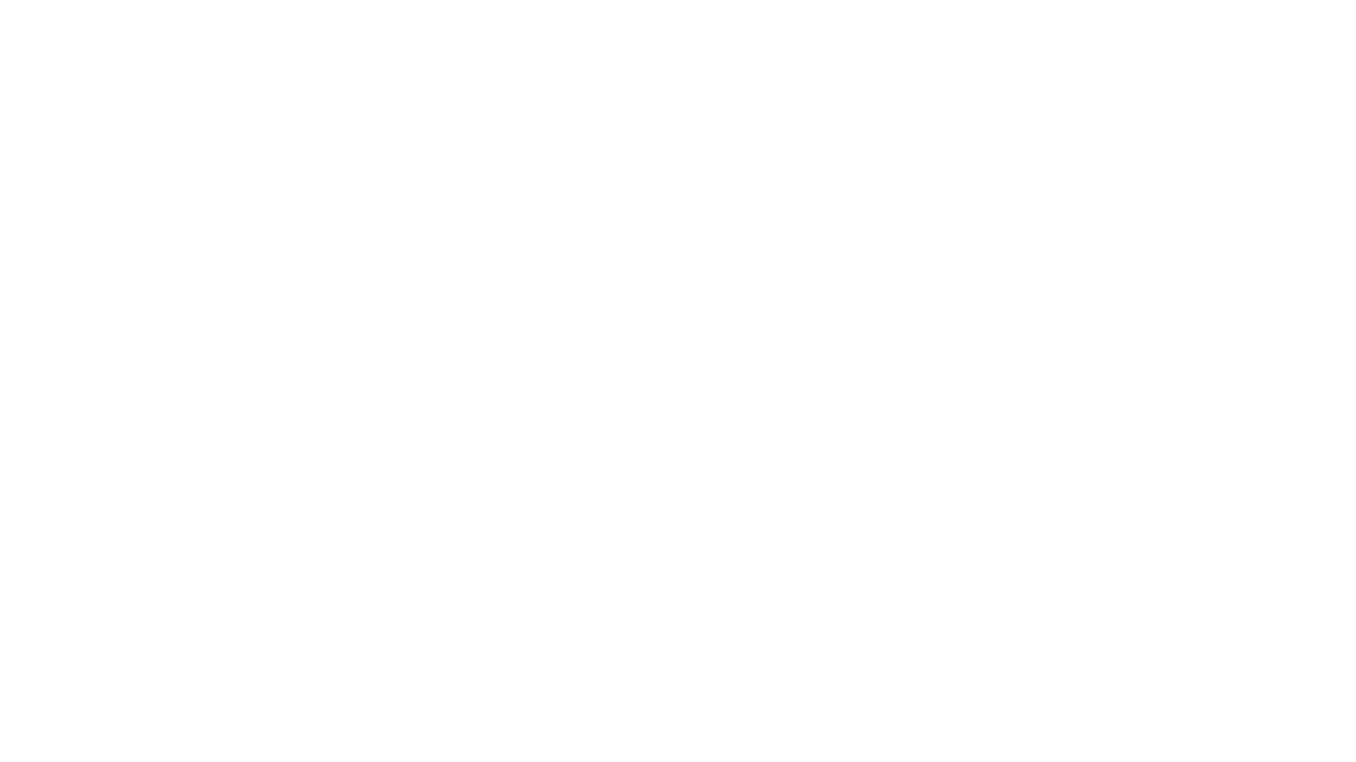 IntegrityNext Logo